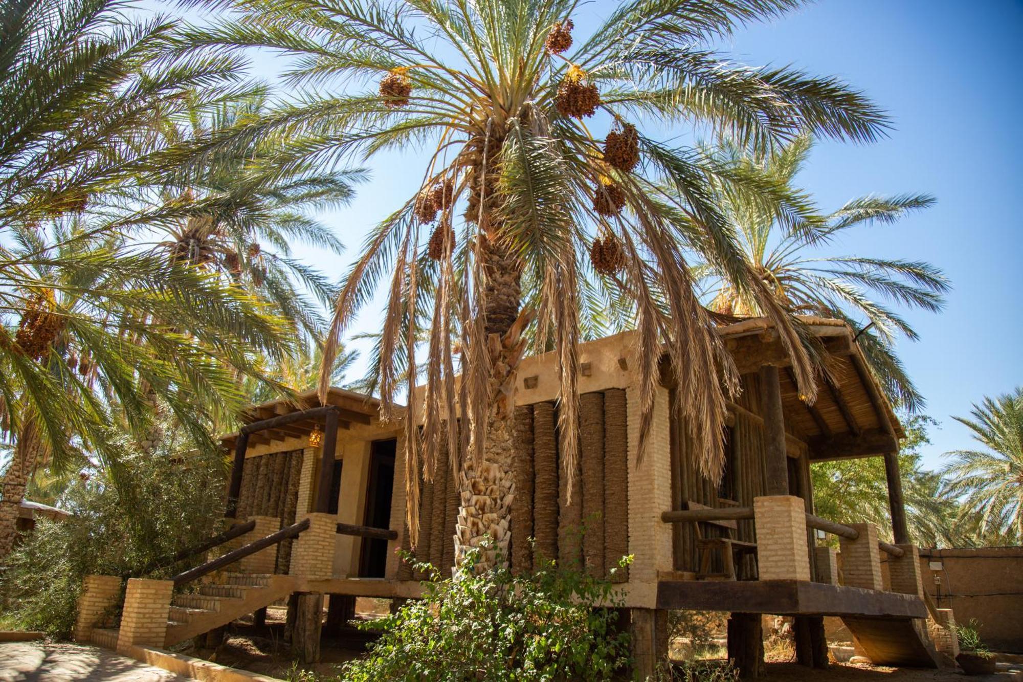 Dar Horchani Tozeur Exterior foto